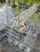 DJI_044100